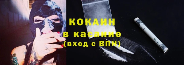 тгк Алексин