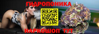 винт Камышлов