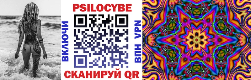 наркотики  Арсеньев  Галлюциногенные грибы Psilocybine cubensis 
